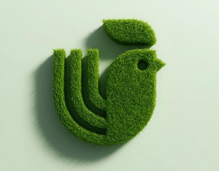Aryash, Branding & packaging by Laith Aljunaidy